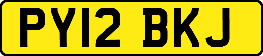PY12BKJ