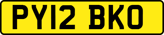 PY12BKO