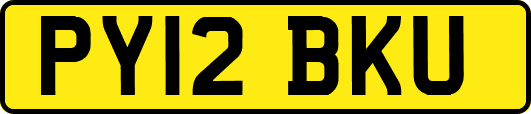 PY12BKU