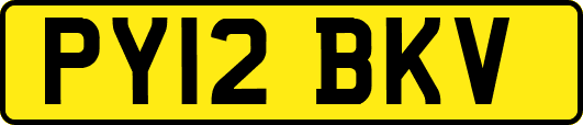 PY12BKV