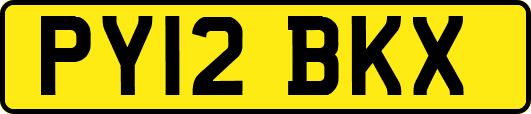 PY12BKX
