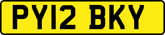 PY12BKY