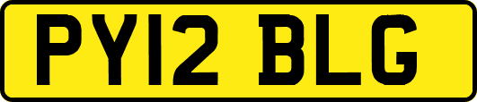 PY12BLG