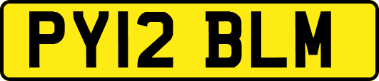 PY12BLM