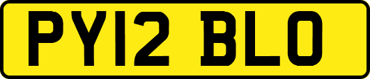 PY12BLO