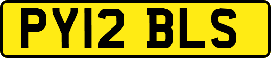PY12BLS