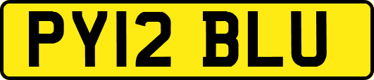 PY12BLU