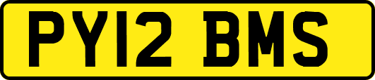 PY12BMS