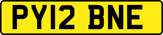 PY12BNE