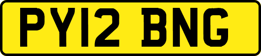 PY12BNG