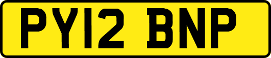 PY12BNP
