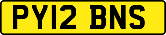 PY12BNS