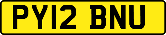 PY12BNU