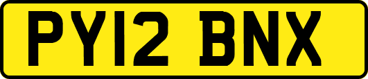PY12BNX