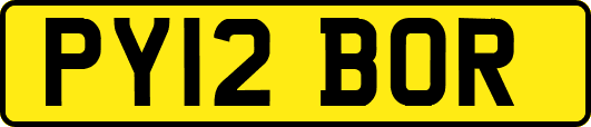 PY12BOR