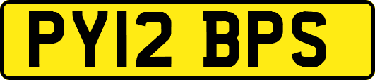 PY12BPS