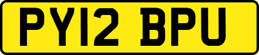 PY12BPU