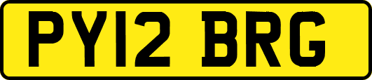 PY12BRG