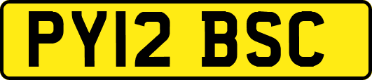 PY12BSC