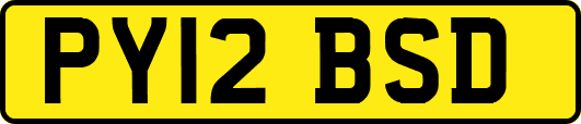 PY12BSD