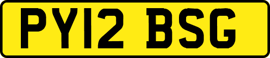 PY12BSG