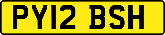 PY12BSH