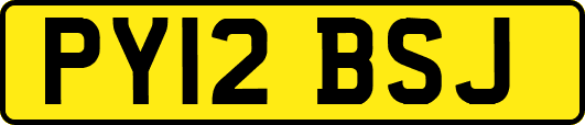 PY12BSJ