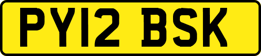 PY12BSK
