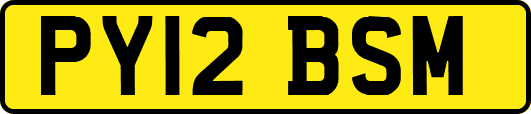 PY12BSM