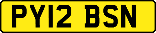 PY12BSN