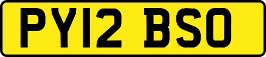 PY12BSO