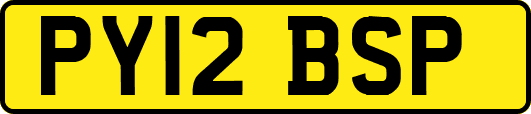 PY12BSP
