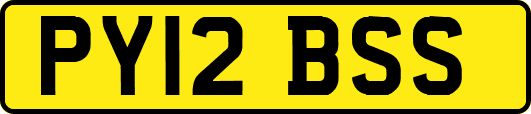 PY12BSS