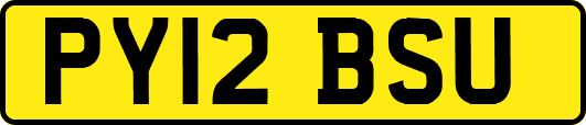 PY12BSU