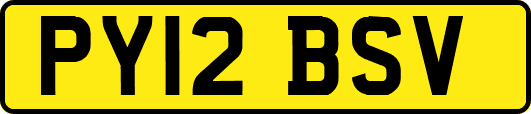PY12BSV