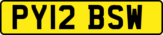 PY12BSW