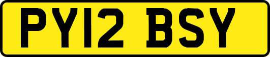 PY12BSY