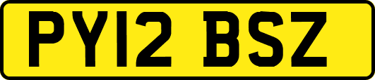 PY12BSZ