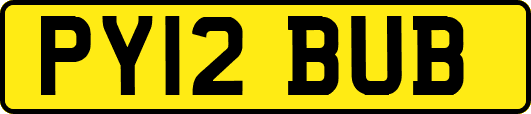 PY12BUB