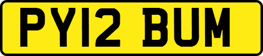 PY12BUM