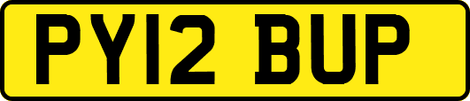 PY12BUP