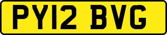 PY12BVG