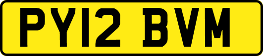 PY12BVM