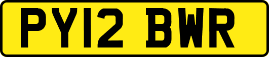 PY12BWR