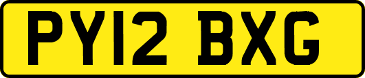 PY12BXG