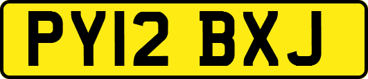 PY12BXJ
