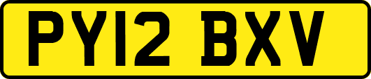 PY12BXV