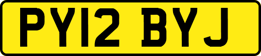 PY12BYJ
