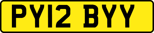 PY12BYY