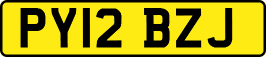 PY12BZJ